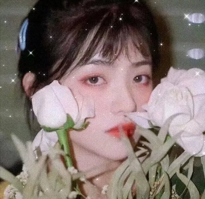 激情蔷薇